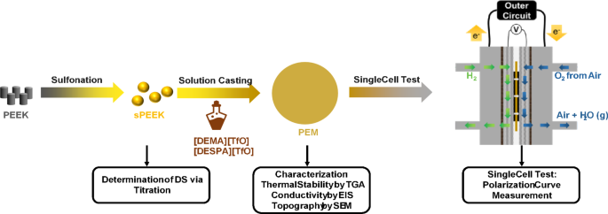 Proton-conducting polymer electrolyte membranes based on sulfonated PEEK and blends of protic ionic liquids with different acidities - Scientific Reports