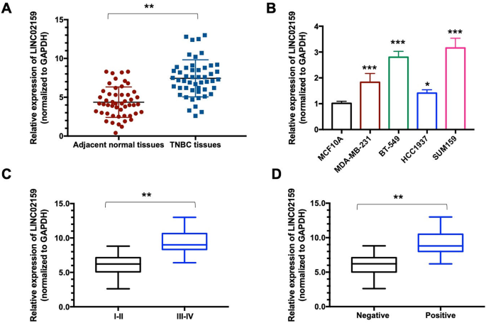 LINC02159 modulated the glycolysis and proliferation of TNBC cell via ...