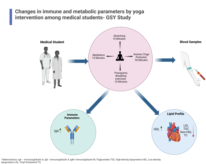 An exploratory study on the changes in immune and metabolic parameters by 10 weeks of yoga intervention among medical students