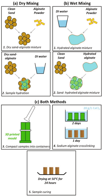 Assessment of the use of sodium alginate for soil improvement in ...