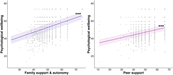 Investigating the relationship between neighbourhood characteristics, perceived social support and psychological wellbeing in Spanish adolescents