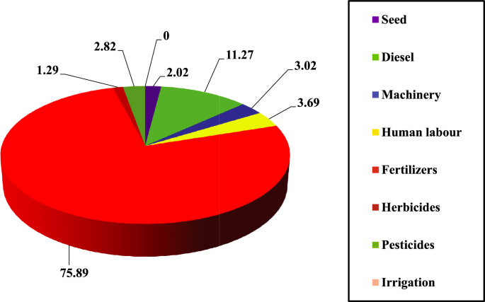 Energy-efficient strategies for maize-safflower cropping systems: comparative analysis of tillage and weed management practices