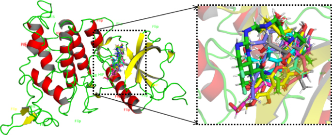 Identification of novel DYRK1A inhibitors as treatment options for ...