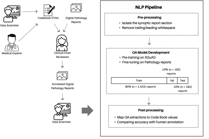 Development of a machine learning model for automatic data extraction ...