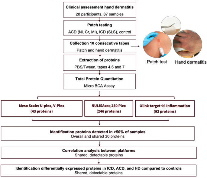 Comparison of three multiplex immunoassays for biomarker analysis in ...