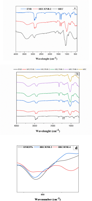 Development and characterization of biocomposites based on hydroxyethylcellulose and epoxidized natural rubber - Scientific Reports