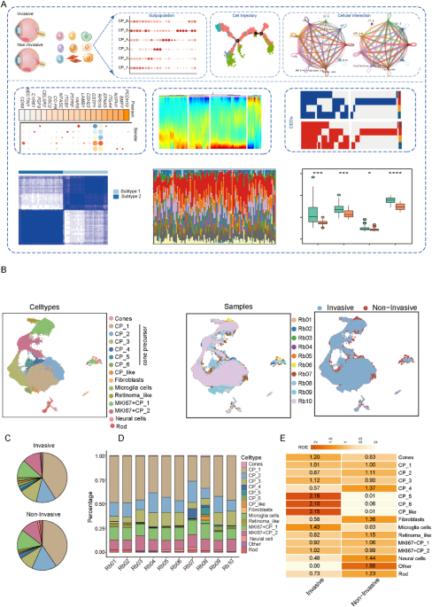 Comprehensive analysis of single-cell and bulk RNA sequencing uncover ...