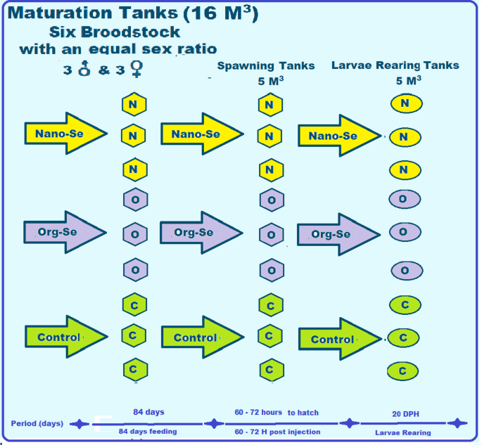 glutathione injection for hashimoto& 39 Natural product-based interventions thyroid disorders: mechanisms and applications The impact of various selenium