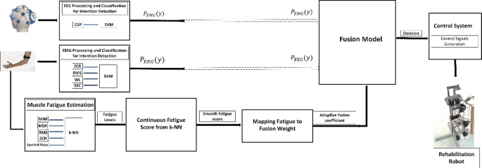 用於肘部康復機器人穩健意圖偵測與疲勞適應性控制的混合式肌電圖–腦電圖介面