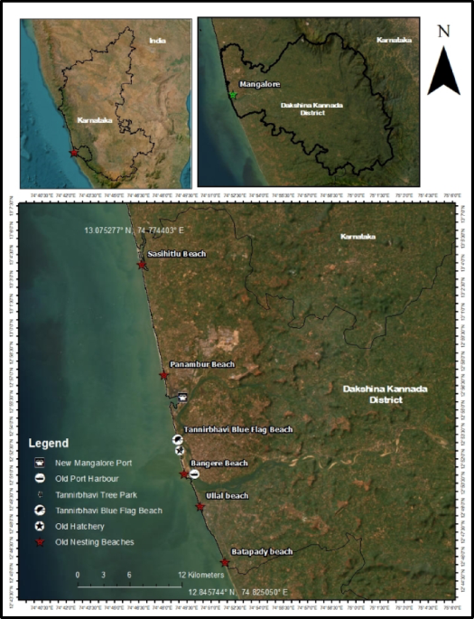 Rediscovering nesting activities of Lepidochelys olivacea along the Dakshina Kannada Coast Karnataka West Coast of India - Scientific Reports