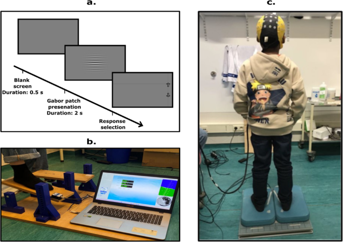 Proprioceptive and visual motion detection acuity contribute to ...