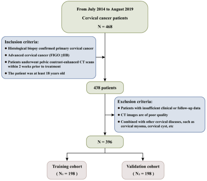 Development and validation of the risk stratification based on deep ...