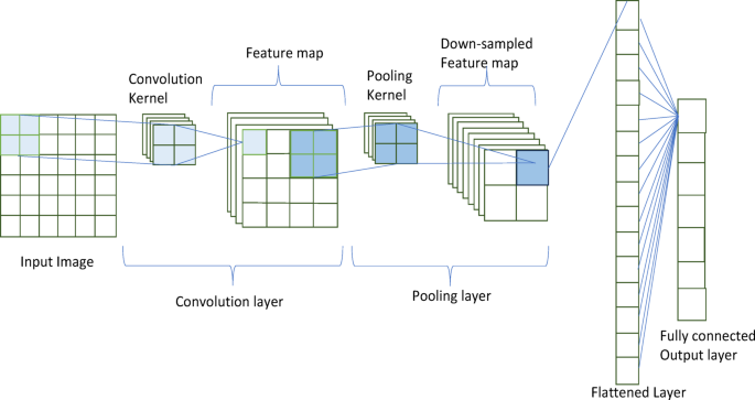 Effective skin cancer classification by modified and optimized ...