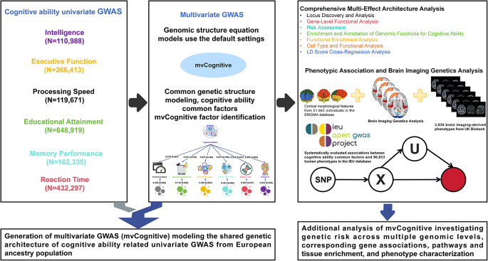 Multivariate genome-wide analysis reveals shared genetic architecture ...