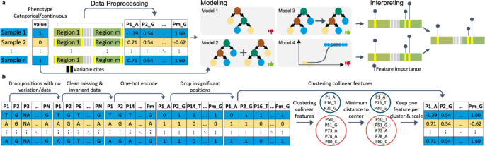 deepBreaks identifies and prioritizes genotype–phenotype associations using machine learning
