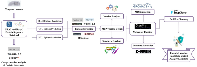 In silico design of novel multi-epitope peptide vaccine against ...
