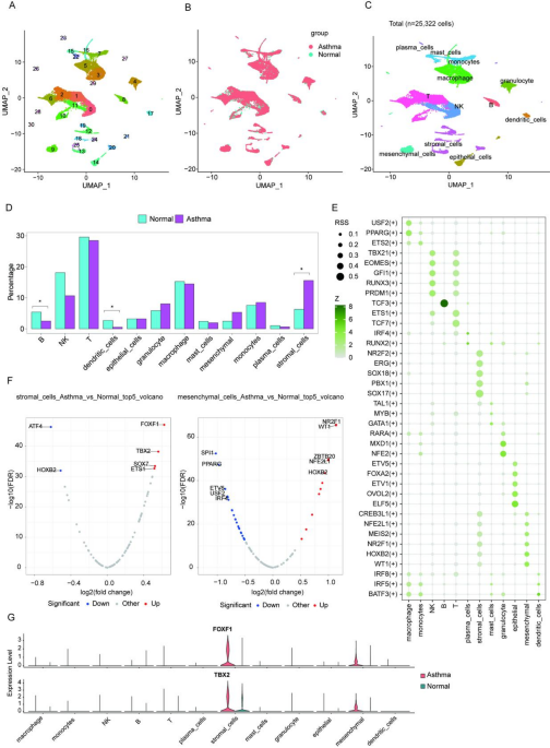 Single-cell transcriptomic analysis of the heterogeneity of mesenchymal ...