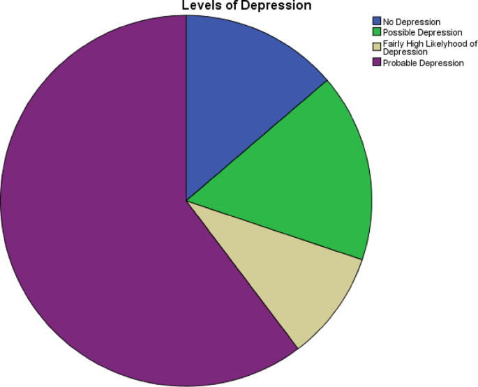 Interplay of traumatic birth experiences and postnatal depression in Pakistani women