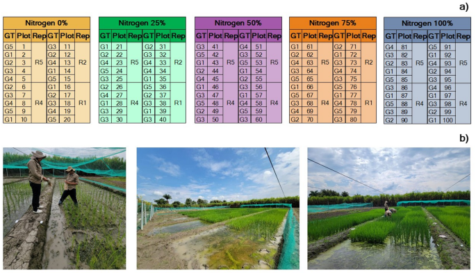 Improving nitrogen use efficiency in rice by estimating leaf nitrogen ...