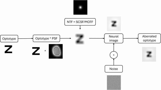 Fast and accurate visual acuity prediction based on optical aberrations ...