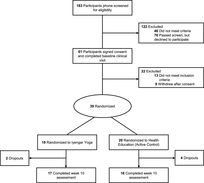 Iyengar yoga and health education interventions for prolonged grief disorder in later life: feasibility of a randomized controlled pilot trial