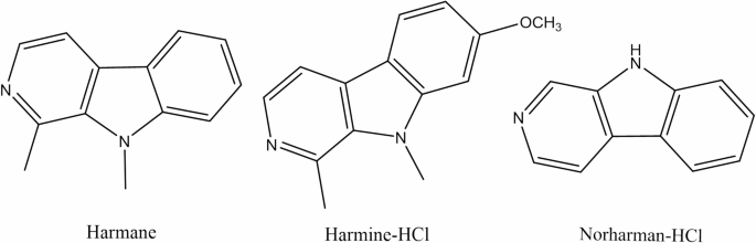harmala alkaloids in tobacco Investigating of harmane, harmine, and norharman as inhibitors of MDR1 and  MRP1 to overcome chemotherapy resistance in cancer cells
