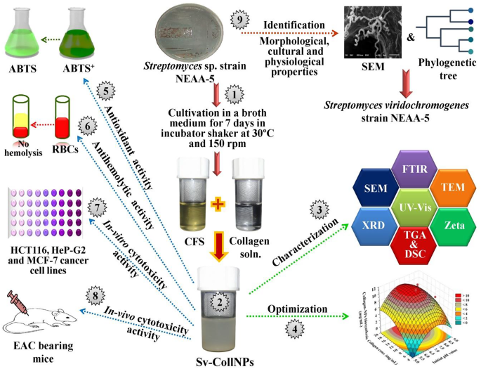 atp glutathione injections for cfids Gulf War Illness, Fibromyalgia, Myalgic Encephalomyelitis/Chronic Fatigue Syndrome and Long COVID Overlap in Common Symptoms and Underlying Biological Mechanisms: Implications Future Therapeutic Strategies Glutathione: Master Antioxidant, Reducing Oxidative