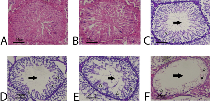 Data-driven insights for optimized emergency response systems