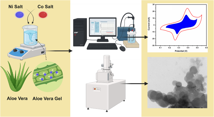 Aloe vera-derived NiCo2O4 electrodes with improved cyclic efficiency for  supercapattery applications | Scientific Reports