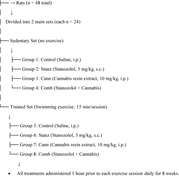 Exercise ameliorates stanozolol and cannabis co-abuse testicular damage in  rats evidenced by biochemical and histological regulation of SIRT1 and STS  | Scientific Reports