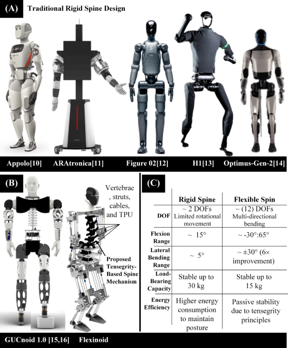 Development of a compliant spine mechanism for enhanced humanoid ...