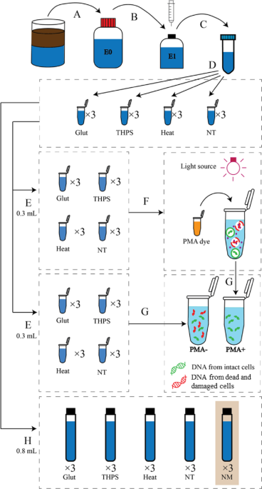 fake dr james glutathione pills Recent progress and future challenges in structure-based protein-protein interaction prediction: Molecular Therapy Scott Kopetz | UT MD