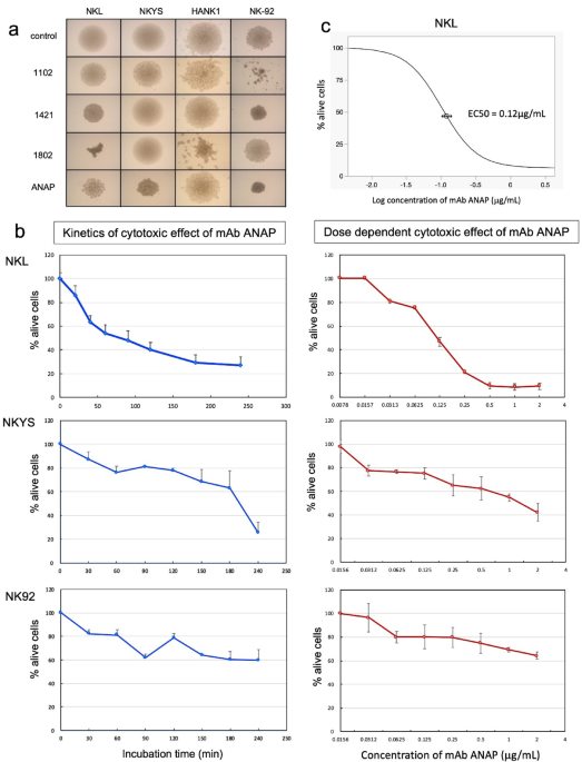 Novel anti-ITGA4 monoclonal antibody induces cell death via large pore ...
