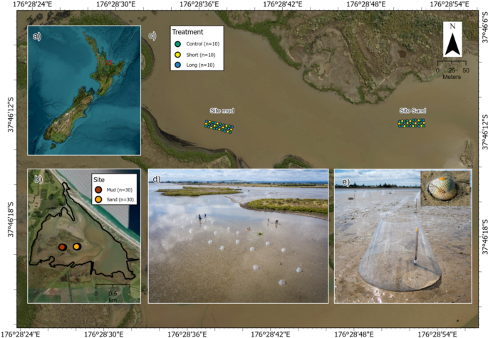 Effects of in situ experimental warming on metabolic expression in a ...
