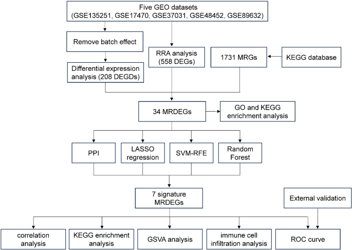 Identification of potential metabolic biomarkers and immune cell ...