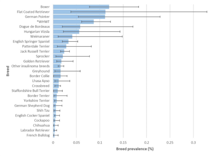Incidence and risk factors for insulinoma diagnosed in dogs under primary veterinary care in the UK