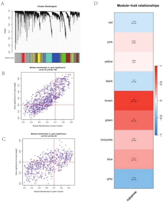 ghk-cu angiogenesis cancer risk To construct and validate a score model of angiogenesis-related genes to predict the prognosis of hepatocellular carcinoma Style:WITH LABEL Cellular & Longevity Research red blood cell formation for animals