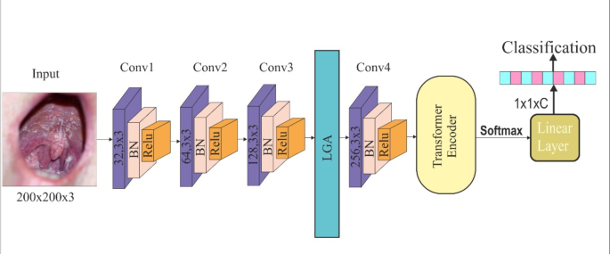 Explainable label guided lightweight network with axial transformer ...