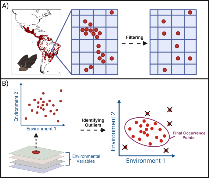 Future climate change and the distributional shift of the common