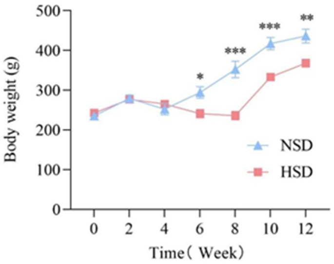 Mechanistic study of the effect of a high-salt diet on the intestinal ...