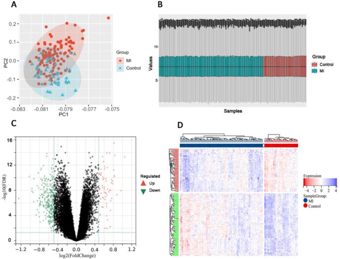 Identification of biomarkers associated with M1 macrophages in the ST-segment elevation myocardial infarction through bioinformatics and machine learning approaches Identification of biomarkers associated with M1 macrophages in the ST-segment elevation myocardial infarction through bioinformatics and machine learning approaches