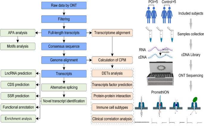 Analysis of post-transcriptional regulatory signatures and immune cell ...