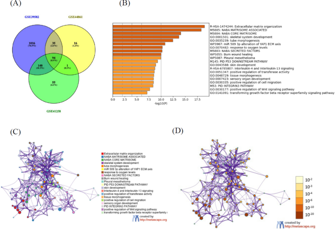 Comprehensive bioinformatic analysis reveals prognostic significance ...