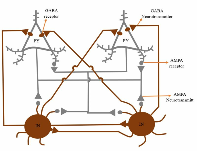 An accurate and fast learning approach in the biologically spiking ...