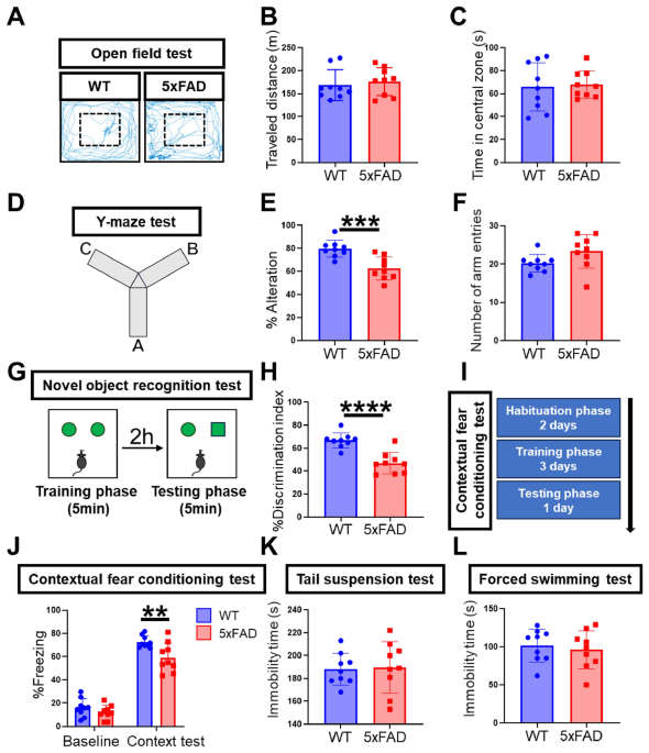 Behavioral and pathological characteristics of 5xFAD female mice in the ...