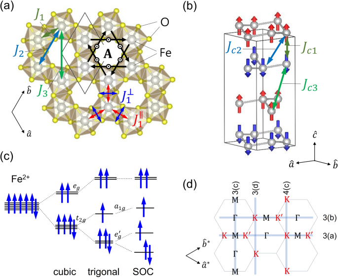 Massive Dirac magnons in the three-dimensional honeycomb magnetic oxide ...