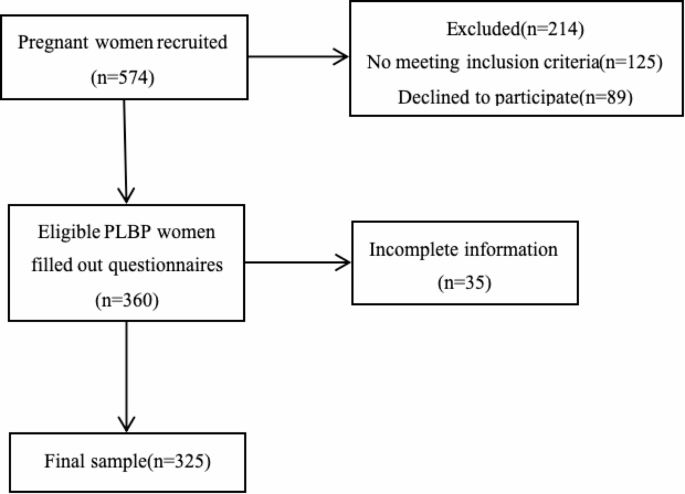 Mediating role of fall fear and exercise self-efficacy in the nexus between low back pain knowledge and kinesiophobia in pregnancy-related low back pain pregnant women