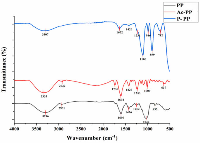 Chemical modification and antioxidant activity of Wendan peel polysaccharide