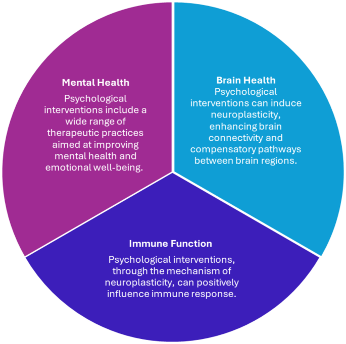 Brain connectivity correlates of the impact of a digital intervention for individuals with subjective cognitive decline on depression and IL-18 Brain connectivity correlates of the impact of a digital intervention for individuals with subjective cognitive decline on depression and IL-18