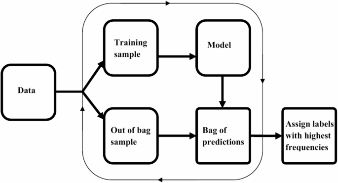 Introducing BamClassifier: A Machine Learning Approach to Assess Iron Deficiency